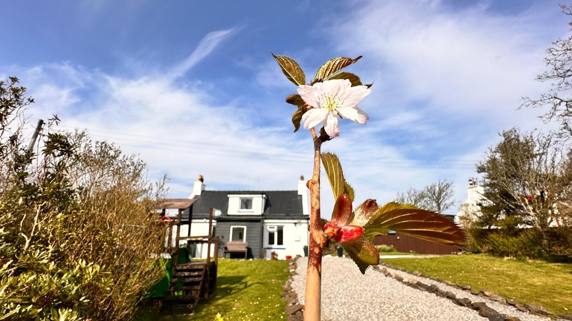 Carnmhor, Isle Of Skye - Stunning 242 Year Old Cottage On Its Own Sea Shore! Breakish Eksteriør billede
